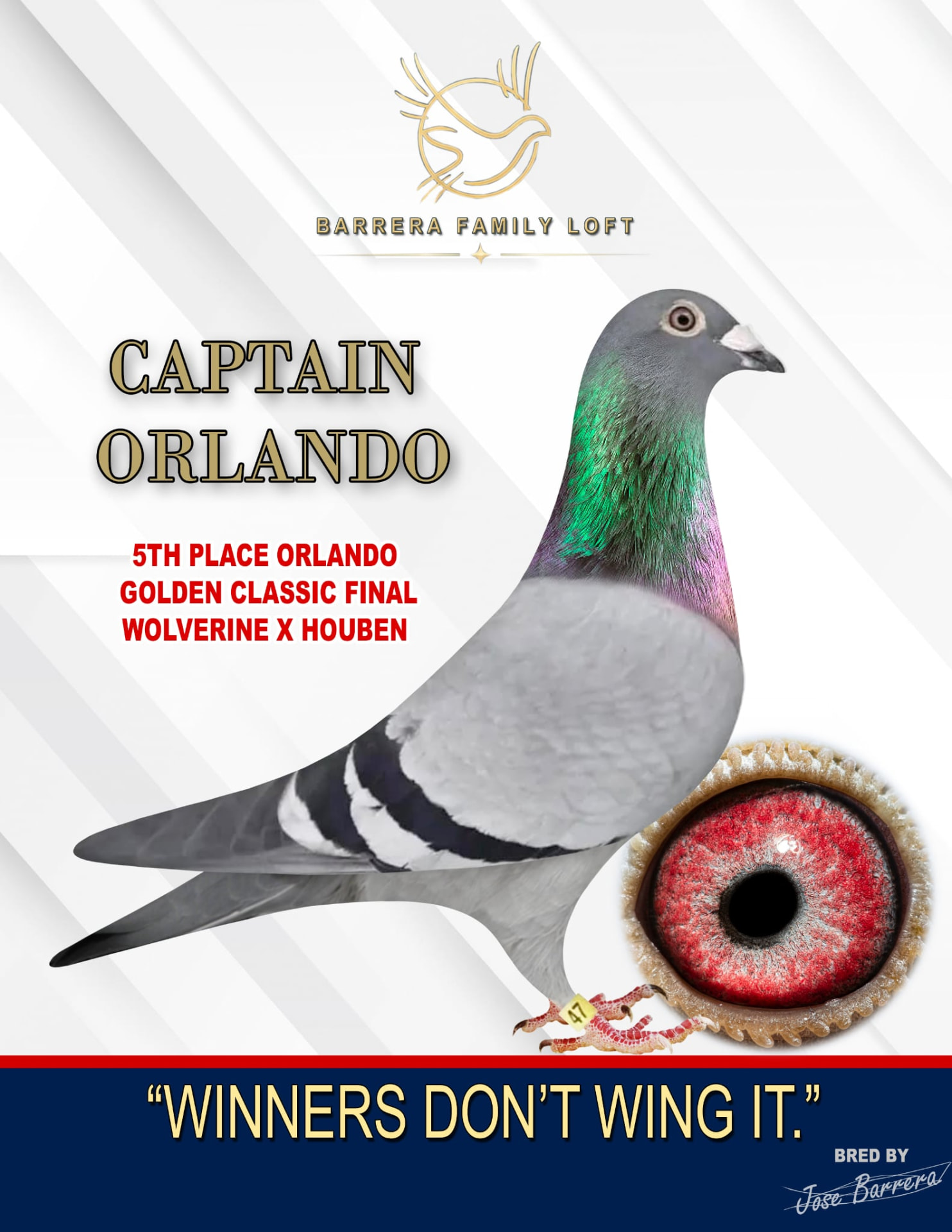 Captain Orlando, fifth-place Orlando Golden Classic Final winner