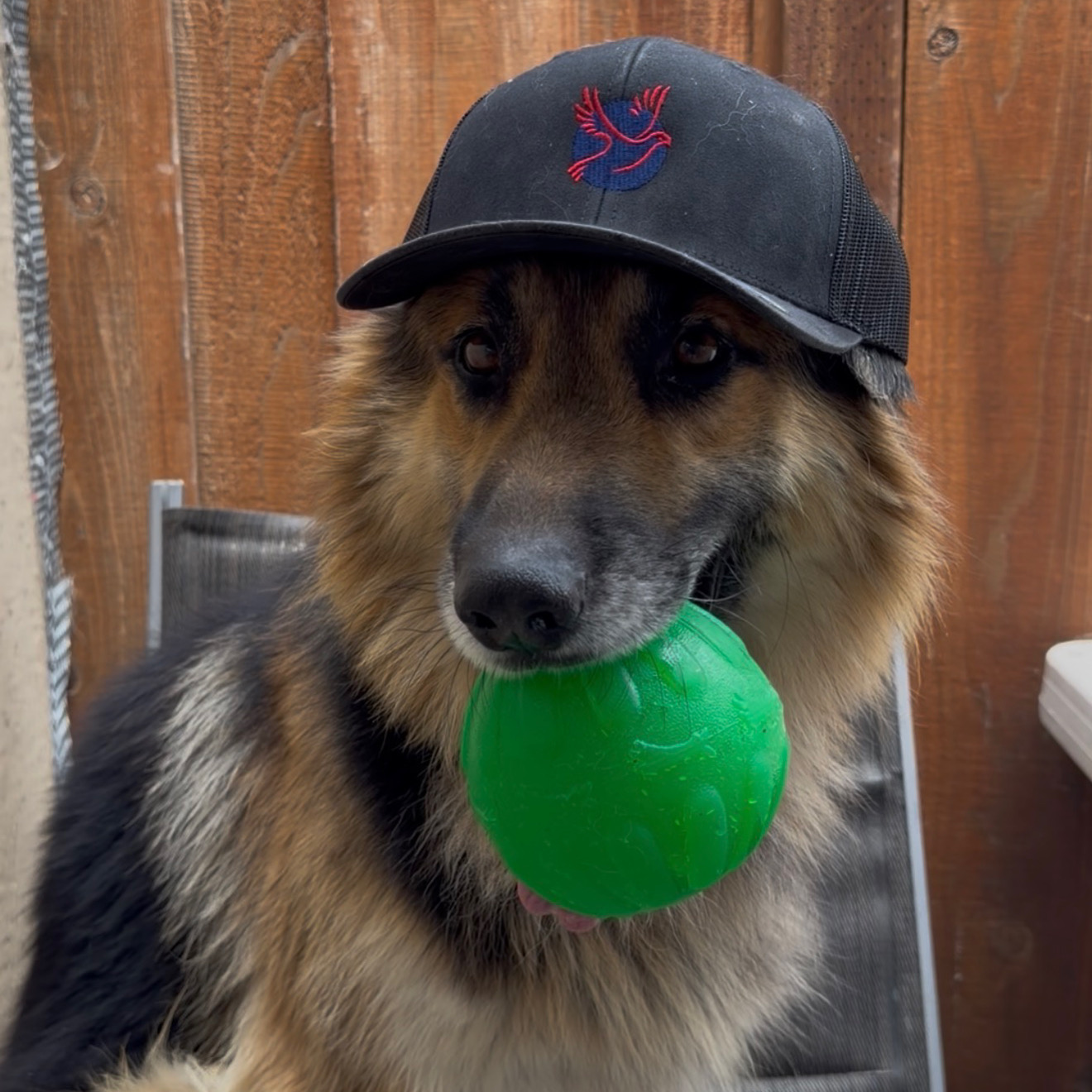 Loft trucker — off duty