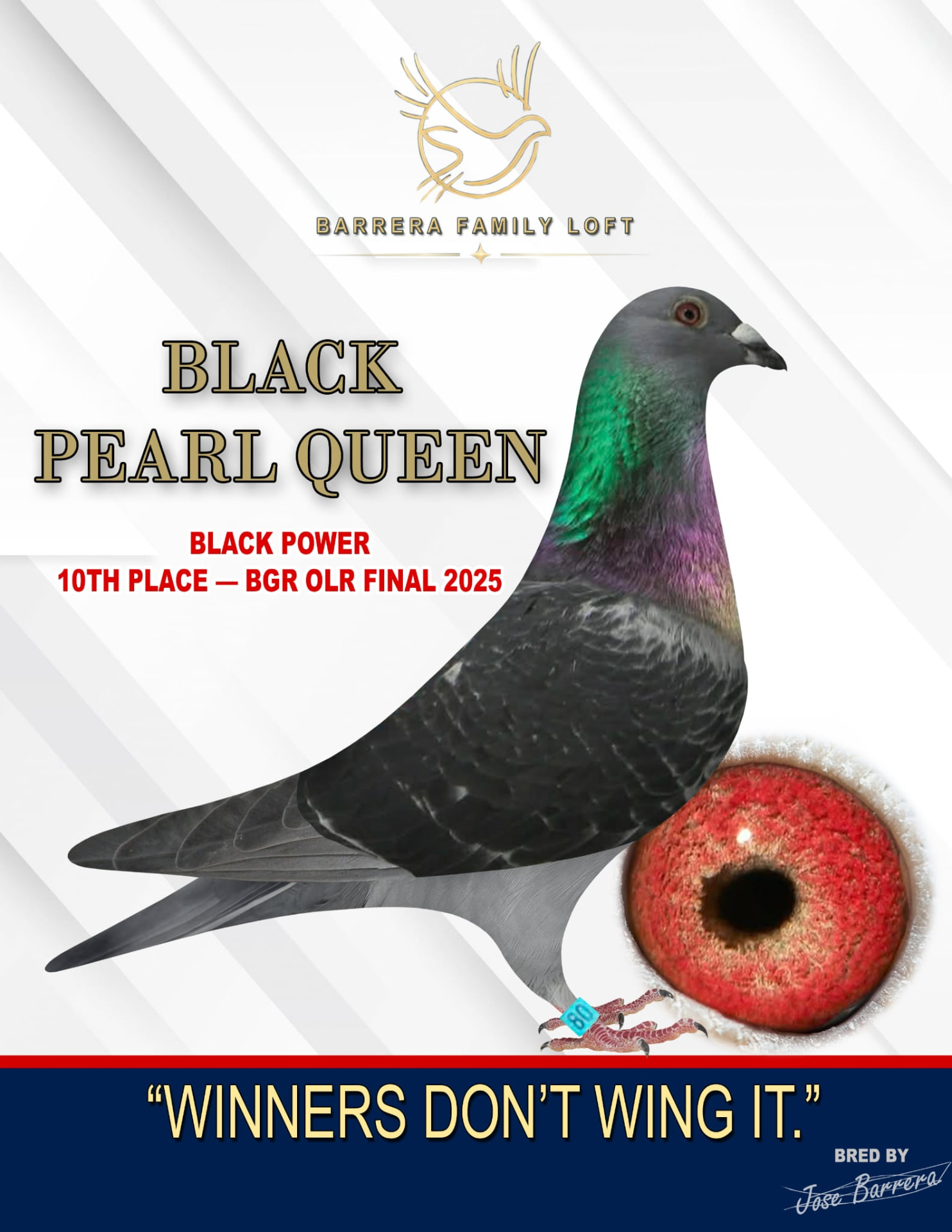 Black Pearl Queen, tenth-place BGR OLR Final 2025 finisher