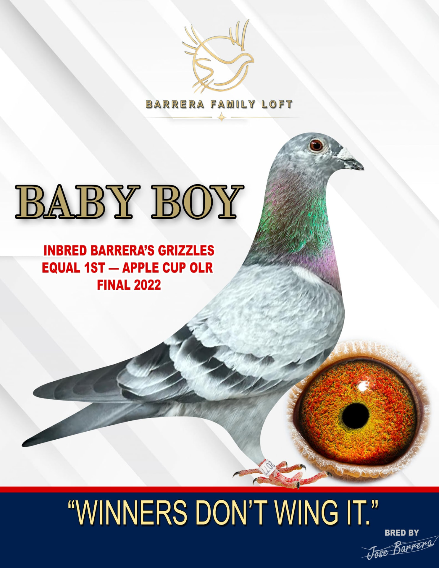 Baby Boy, equal first Apple Cup OLR Final 2022 winner