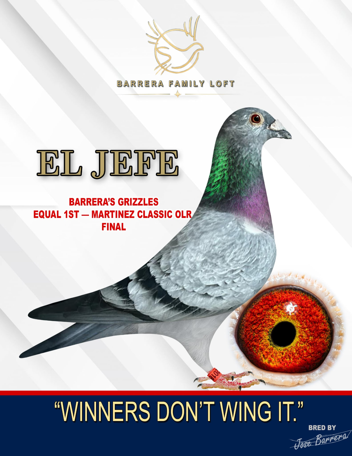El Jefe, equal first Martinez Classic OLR Final winner