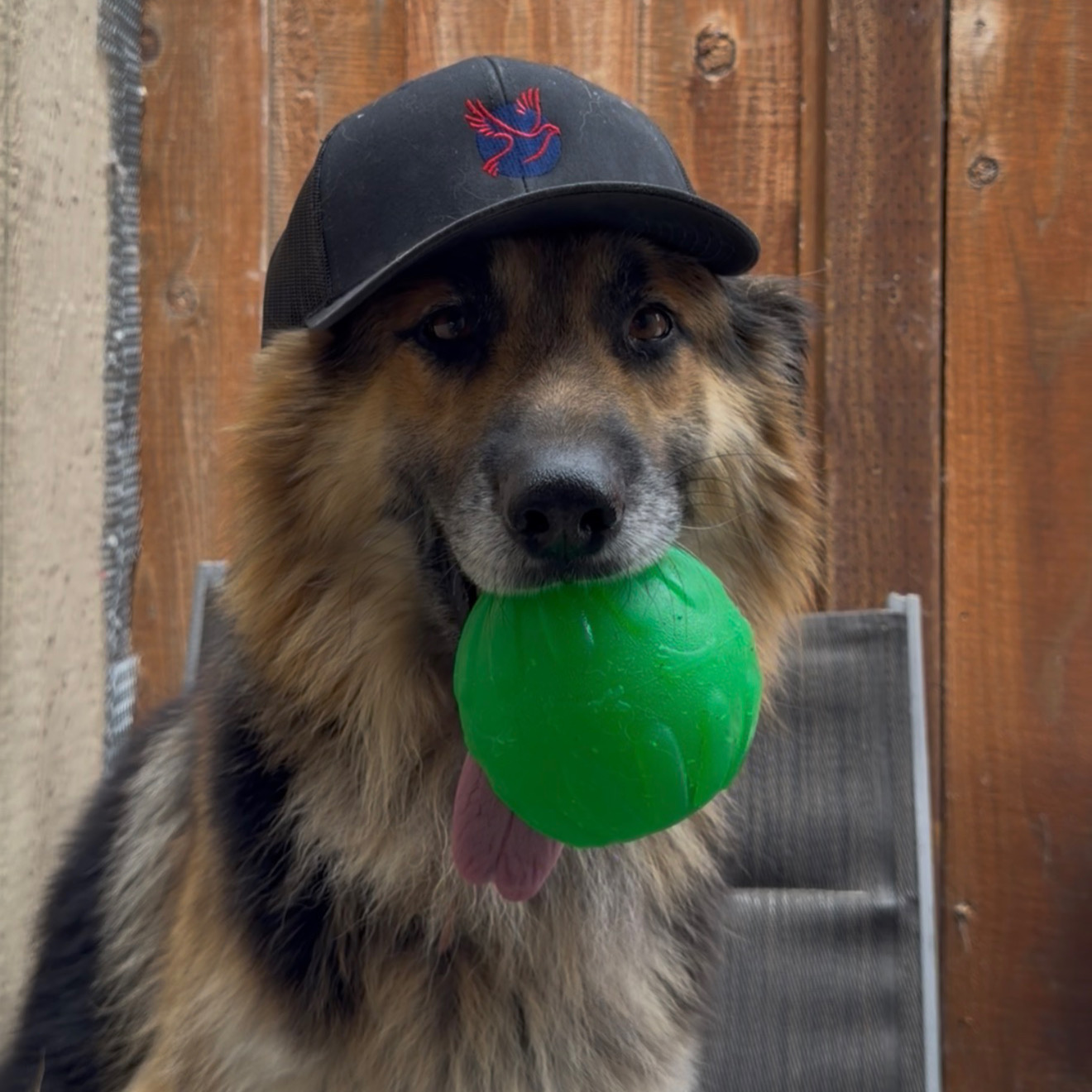 Loft trucker — off duty